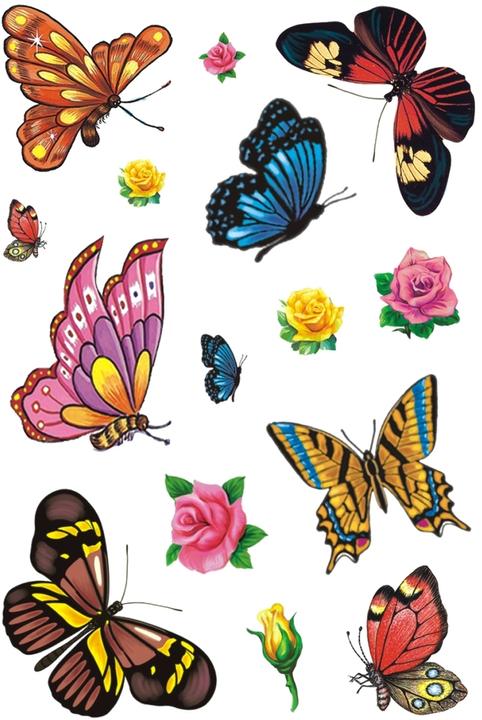 Immagine prodotto Magni Tatuaggio classico colore farfalle
