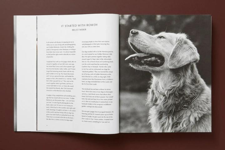 Produktbild Bruce Weber. The Golden Retriever Photographic Society (Deutsch, Französisch, Englisch, Jane Goodall, 2021)