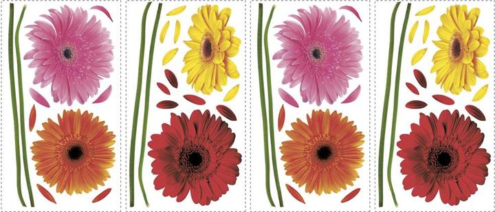 Produktbild Roommates RM - Gerbera