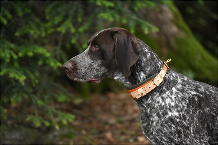 Produktbild Niggeloh Schweisshalsung (XS, Hund, Allgemein)