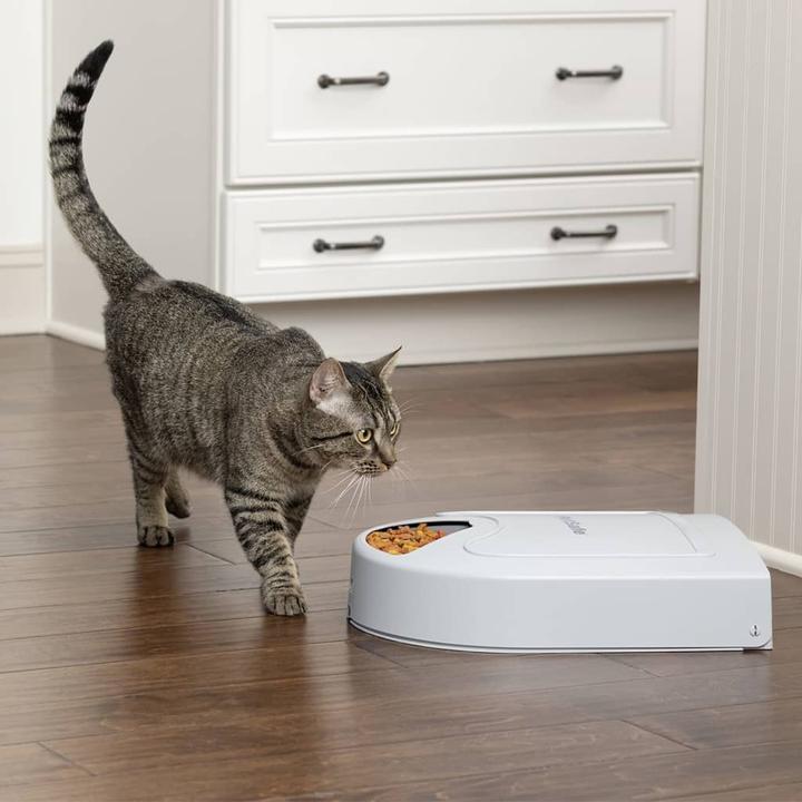 Actual product image PetSafe Automatic feeder (0.20 l)