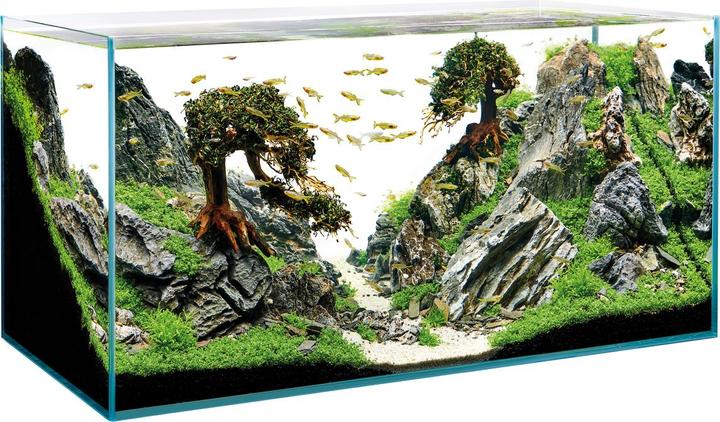 Immagine prodotto Oase Acquario ScaperLine 100, 250 l (250 l)