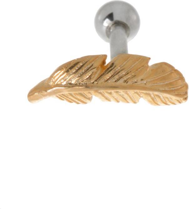 Produktbild Bijouteria Ohrpiercing (Chirurgenstahl 316L, Gold-Beschichtung (vergoldet), Messing mit Silberbeschichtung)