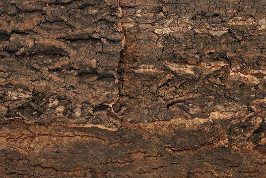 Actual product image Repti Planet Cork back wall 43.5 x 41 x 2 cm