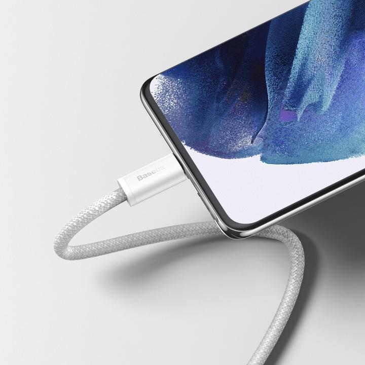 Image du produit Baseus USB C — USB C (1 m, USB 2.0)