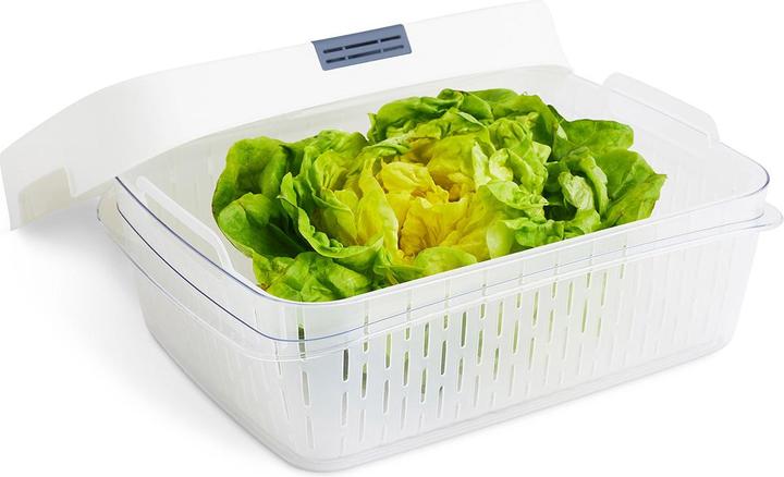 Actual product image Rotho Dynamic Box 6.4 l FRESH (6.40 l)