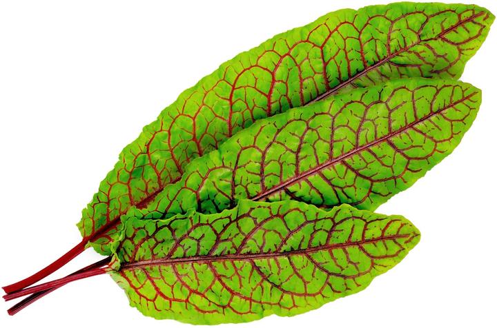 Image du produit Véritable Lingot Pensée BIO (Graines de plantes)