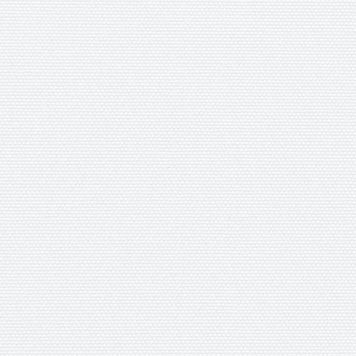 Image du produit VidaXL Store latéral extensible (2.20 m)