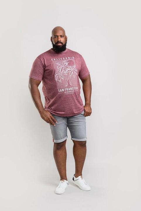 Actual product image DUKE TShirt Oscar with SanFranciscoPrint Oversizes (S, 4XL)