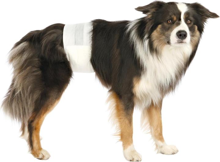 Produktbild Trixie Windeln für Rüden (Hund)