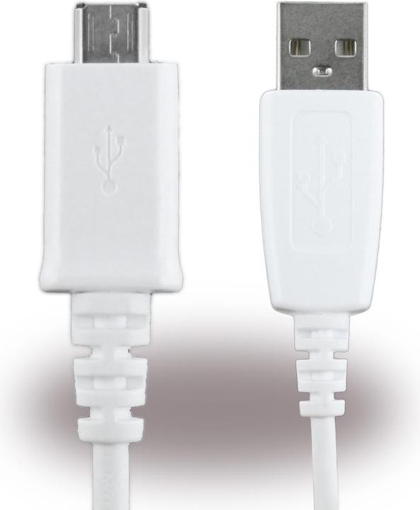 Image du produit Samsung BCE-DU4AWE (1 m, USB 2.0)
