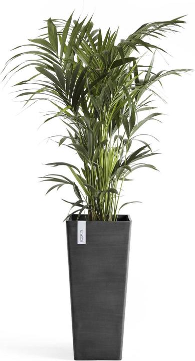 Actual product image Ecopots Rotterdam High (32 cm)