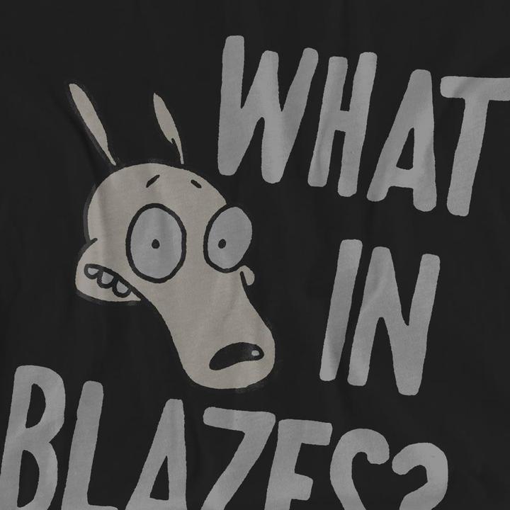 Produktbild Rocko´s Modern Life Rocko's Modern Life What In Blazes? TShirt (XXL)