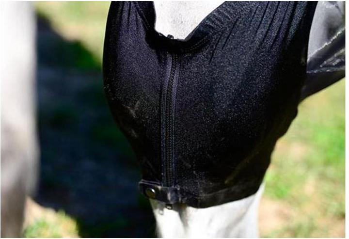 Actual product image Kentucky Horsewear Fly mask Slim Fit