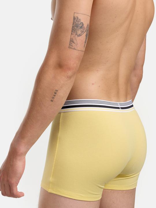 Produktbild DIM Boxer Smart (M, Einzelpack)