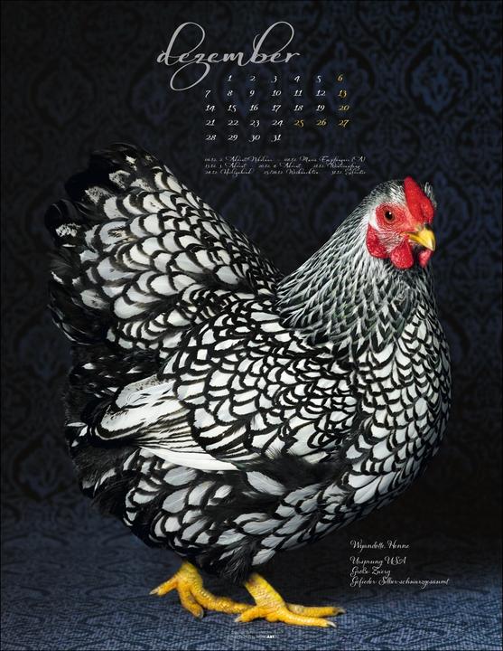 Produktbild Pretty Chicks Kalender 2026 (34 x 44 cm, Deutsch)