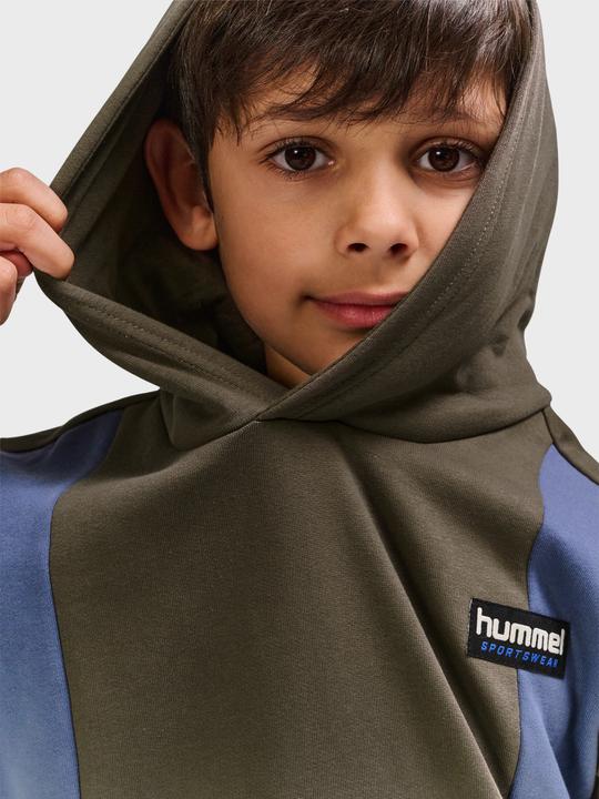 Actual product image hummel hmlALLTON HOODIE (104)