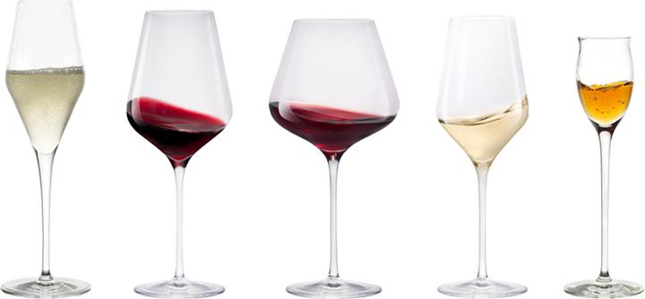 Stölzle Wein- und Sektgläser Quatrophil (30 Gläser, Weissweingläser)