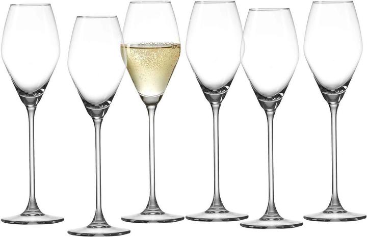 Ritzenhoff & Breker Champagne glasses salsa (20 cl, 6 Glasses, Champagne glasses)