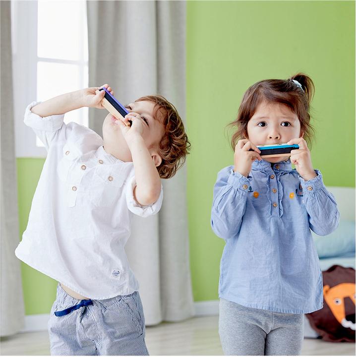 Actual product image Classic World Harmonica with face
