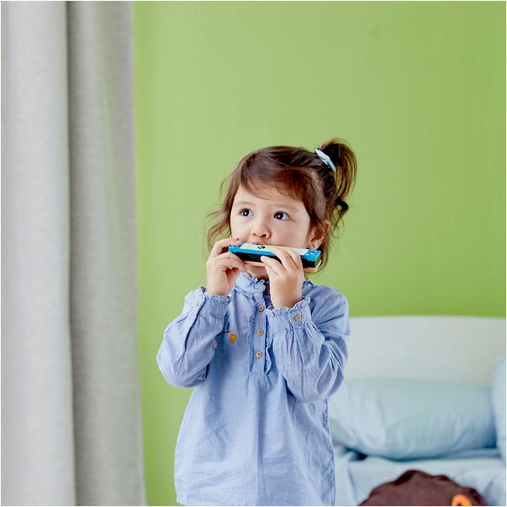 Actual product image Classic World Harmonica with face