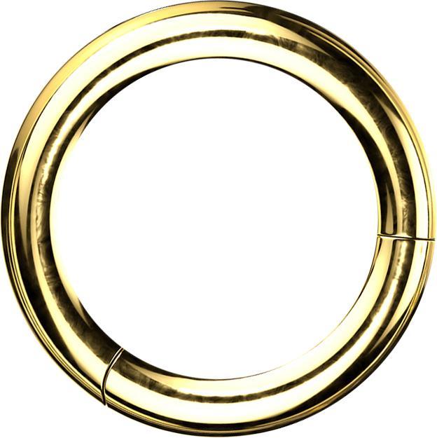 Star Piercing Segmentring klappbar vergoldet (Titan G23)