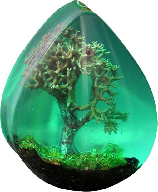 Actual product image Star Piercing Flared Plug Drop Tree of Dreams Epoxy Green (without brass, Organic)