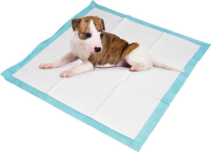 Produktbild Dogs Collection Trainingspads 30 x für Hunde, Welpenunterlage, 5-lagig, auslaufsicher, 60 x 60 cm (Hund)