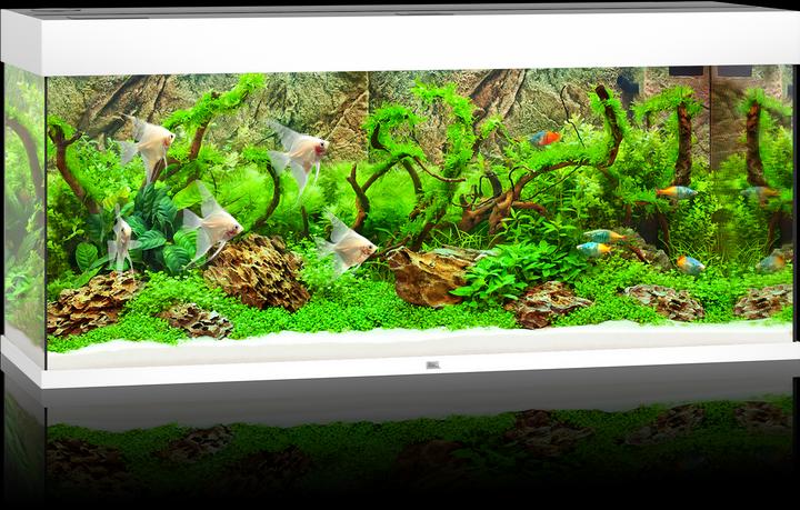 Immagine prodotto Juwel Aquarium Rio LED (240 l)