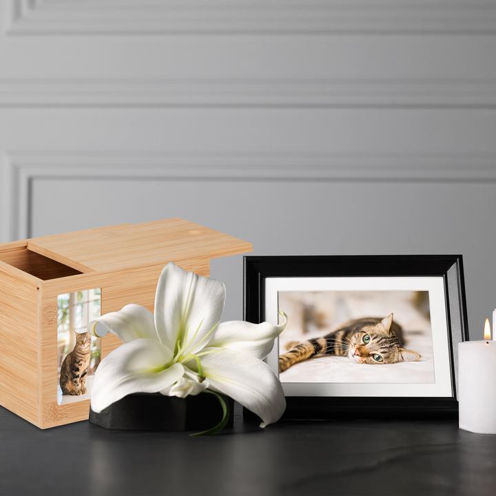 Productafbeelding Relaxdays Dieren urn (19,5 x 14,5 x 14,5 cm, 3 l)
