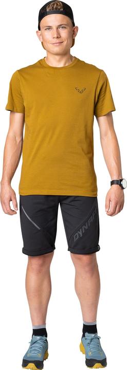 Actual product image Dynafit 24/7 Graphic T-Shirt (L)