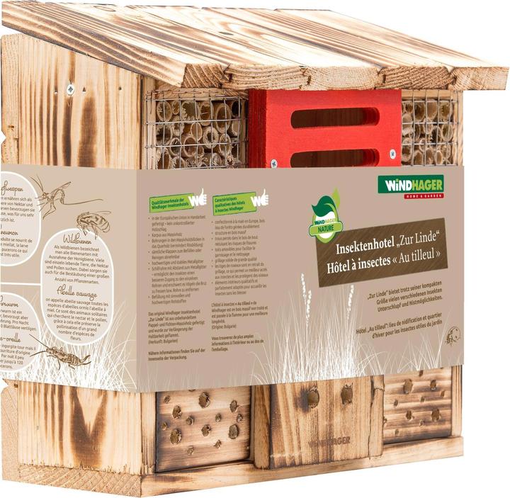 Image du produit Windhager Le tilleul (Chrysanthèmes, Bourdons, Coccinelles, Chansons accrocheuses, Abeilles sauvages)