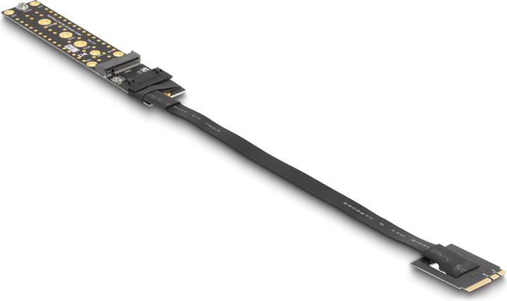 Immagine prodotto Delock Scheda Riser NVMe M.2 Key A+E da collegare allo slot Key M con cavo da 20 cm