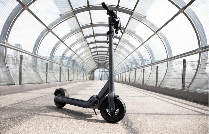 Actual product image Egret Pro (20 km/h, 80 km, 500 W)
