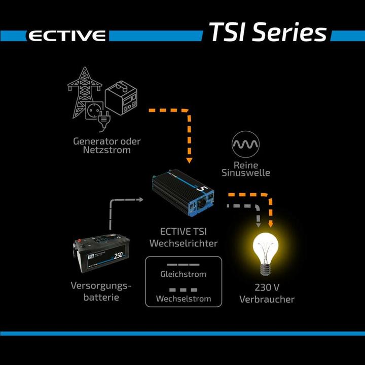 Immagine prodotto Ective TSI102 Inverter a onda sinusoidale 1000W/12V con NVS