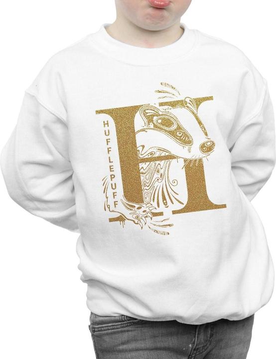 Image du produit - Sweat HUFFLEPUFF GLITTER - Garçon (140, 146)