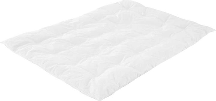 Image du produit Träumeland Duvet léger en duvet (100 x 135 cm)