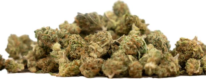 Actual product image Herba di Berna Cannaqueen Indoor Mini Buds (21 g, Indoor)