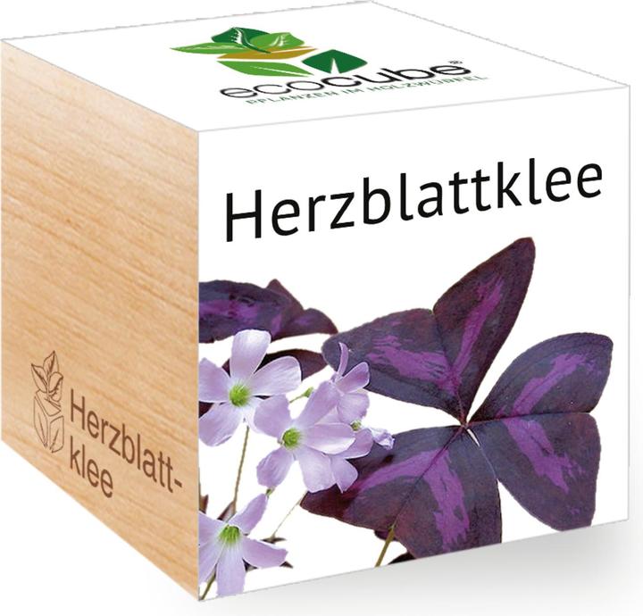 Image du produit Feel Green Trèfle à quatre feuilles (Graines de plantes)
