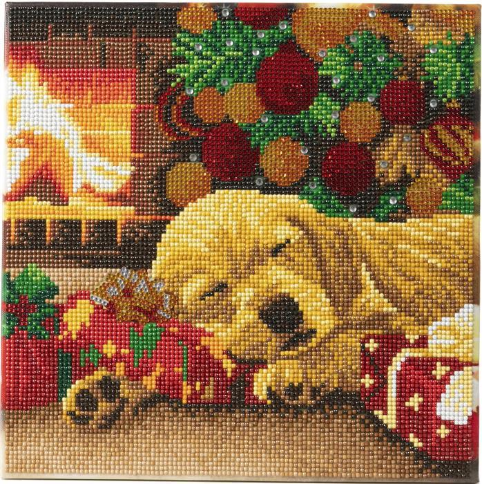Immagine prodotto Craft Buddy Cucciolo di Labrador addormentato, quadro 30x30cm Crystal Art