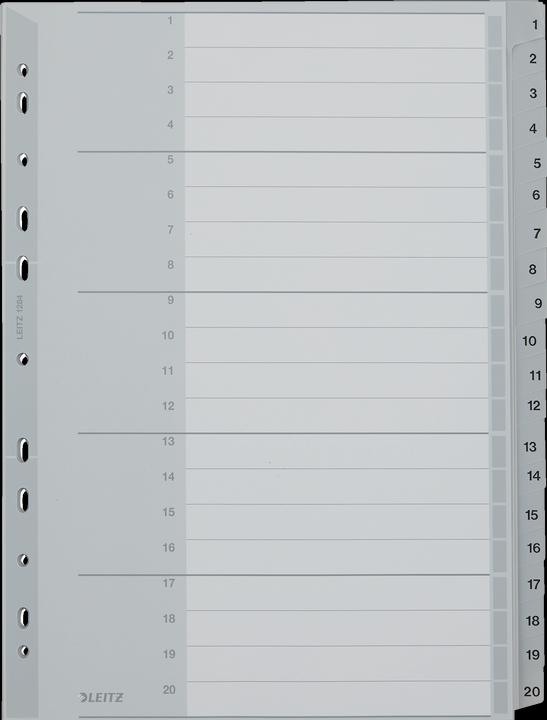 Actual product image Leitz Register