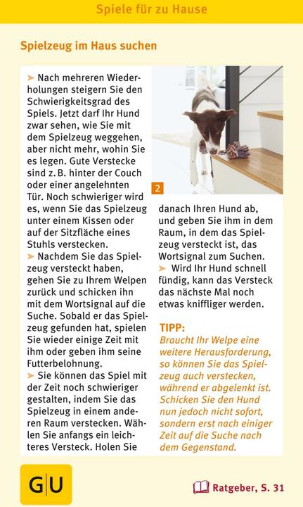 Produktbild Welpen Spiele-Box (Deutsch)