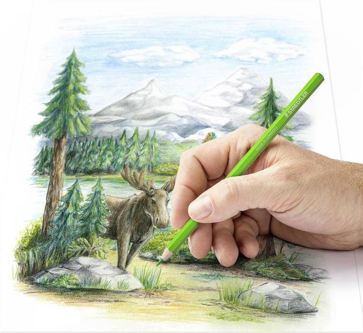 Image du produit Staedtler Stylo couleur 146C carton de 12 pièces, triées (Pêches, Multicolore, Rouge, Jaune, Orange, Bleu, Bleu clair, Bordeaux rouge, 12 x)