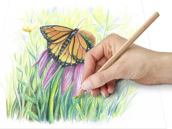 Produktbild Staedtler pastel 146P Pastellstifte (12 Farben pastell, 12 x)