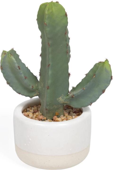 Image du produit Kave Home Cactus (22 cm)