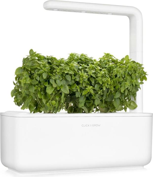 Actual product image Click and Grow Dwarf Basil (Herb seeds)
