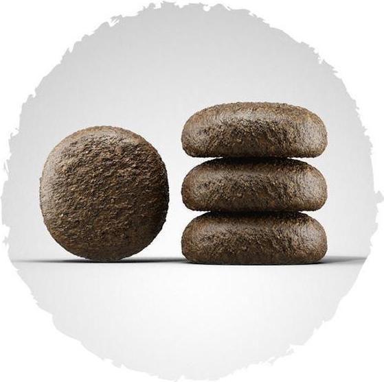 Actual product image Josera Festival 12,5kg (Adult, 1 pcs., 12500 g)