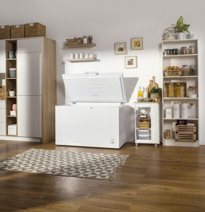 Image du produit Gorenje FH302CW Réfrigérateur/congélateur industriel Pose libre E (Autonome, 303 l)