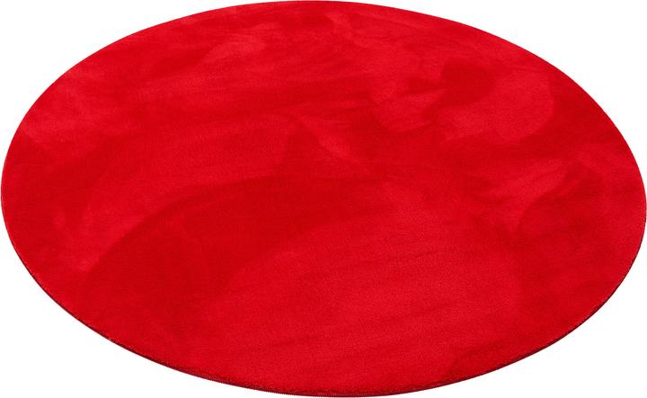 Rot