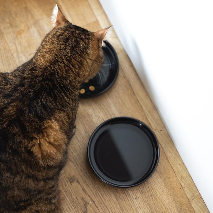 Actual product image LucyBalu BOWL Porzellan Katzennapf